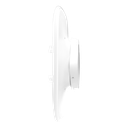 detalle2.png
