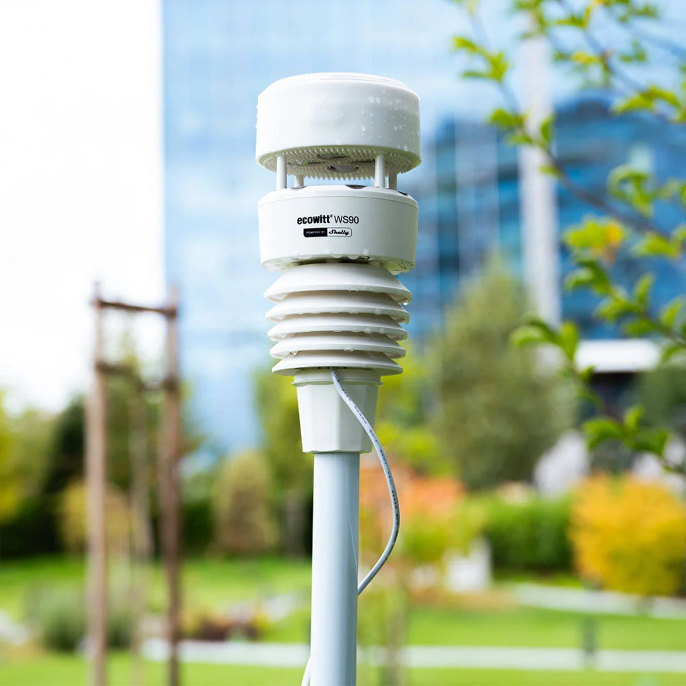 detalle5.png