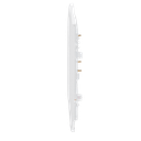 detalle2.png