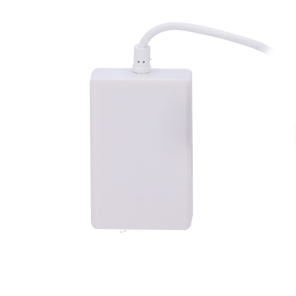 detalle1.png
