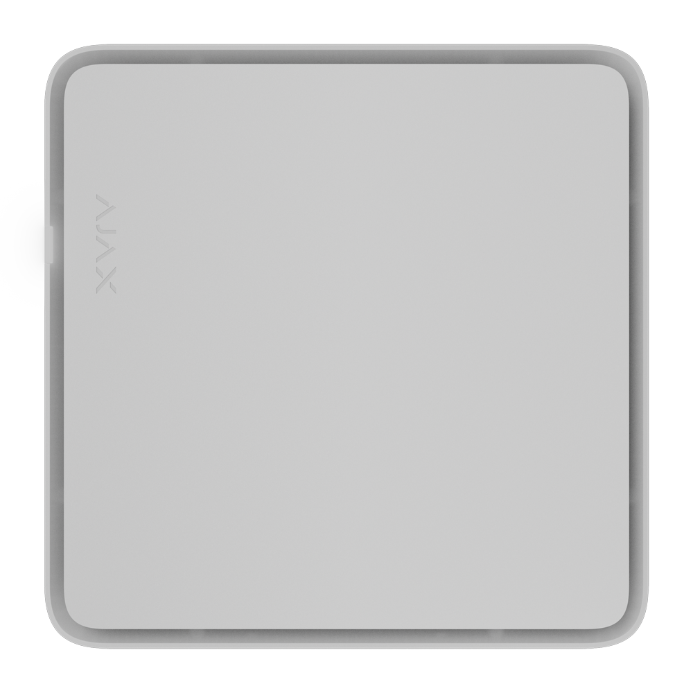 detalle1.png