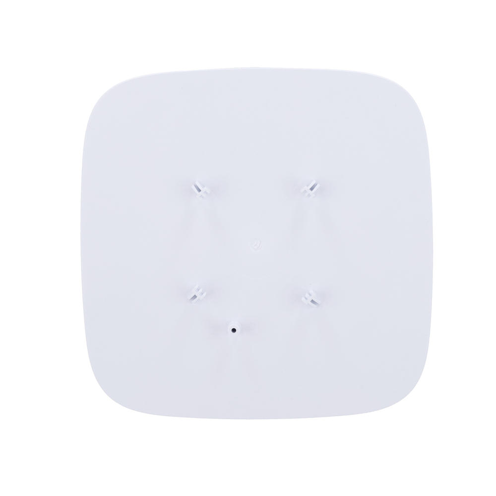 detalle5.png