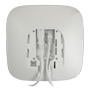 detalle2_thumb.png