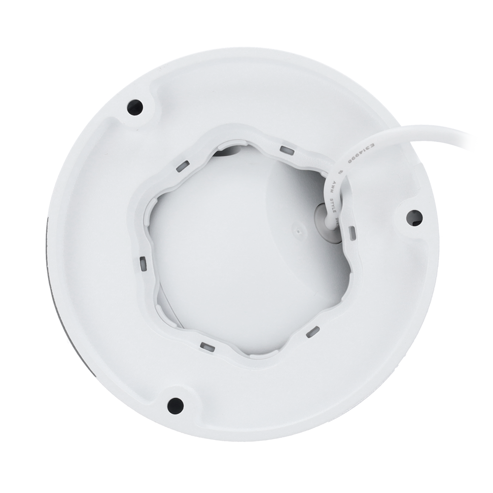 detalle2.png