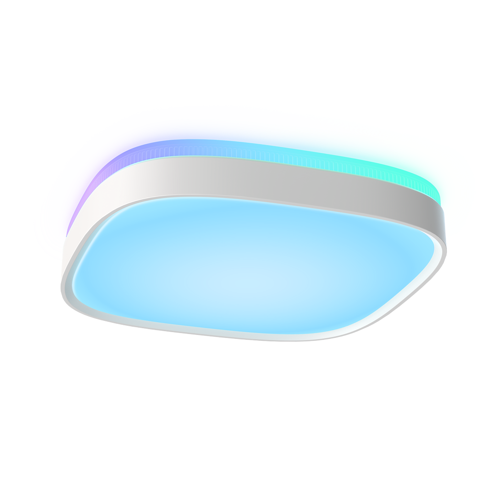 detalle1.png