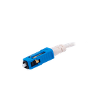 detalle1.png